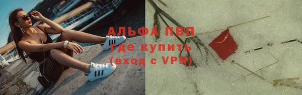 метадон Алексин