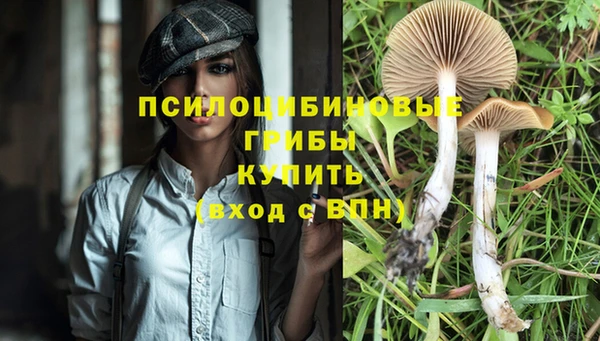 MDMA Premium VHQ Алзамай